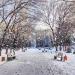 Сквер «Дубки» в городе Уфа