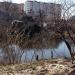 Растительность в городе Житомир
