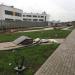 Газон в городе Москва