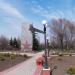 Клумба в городе Енакиево