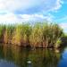 Отстойники шлама в городе Енакиево