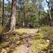 Studnia kablowa (pl) in Hel city