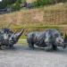 Sculptures of woolly rhinoceros in Khanty-Mansiysk city