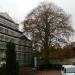 Opgaande beuk bij woning Eeman in Aalst city