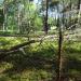 Teren ogrodzony (pl) in Hel city