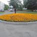 Цветник в городе Москва