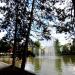 Fontanna in Opole city