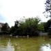 Wyspa in Opole city
