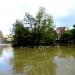 Wyspa in Opole city