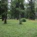 Парк «У лукоморья» в городе Жаворонки