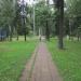 Аллея в городе Жаворонки