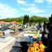 Cmentarz komunalny w Wieluniu in Wieluń city