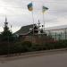 Ландшафтный газон в городе Житомир