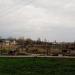 Газон в городе Житомир