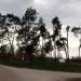Остановка маршрутного такси «Переулок Медовый» в городе Житомир