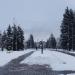 Клумба в городе Енакиево