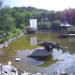 Пруд в городе Чусовой