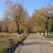 Аллея к стадиону в городе Енакиево