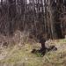 Заброшенное кладбище в городе Енакиево