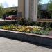 Flowerbed in Zhytomyr city