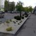Lawn in Zhytomyr city