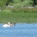 Crane Prairie Reservoir