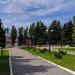 Бюст Ткаченко-Петренко в городе Енакиево