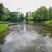 Staw in Ornontowice city