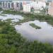 Центральный пруд в городе Москва