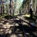 Mijanka kolejki wąskotorowej (pl) in Hel city