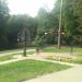 Дерево новобрачных в городе Красногорск