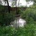 Swamp in Zhytomyr city