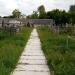 Alley of the Czech Cemetery in Zhytomyr city