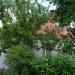 provulok Vilskyi Druhyi, 4 in Zhytomyr city
