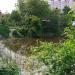 Бывший глиняный карьер (ru) in Zhytomyr city