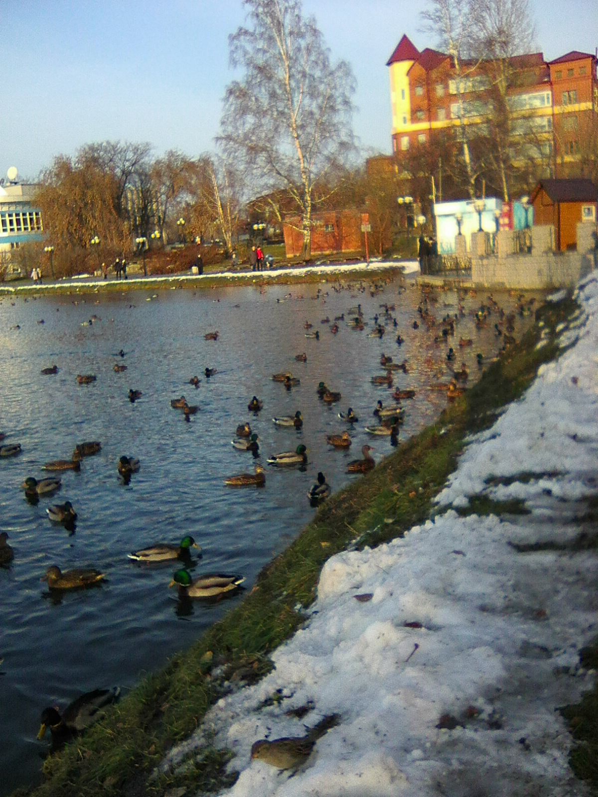 Beloe Ozero - Tomsk