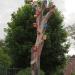Birdhouses tree in Zhytomyr city