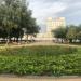 Клумба в городе Москва