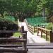 Nami Island Glass Sequoia First Kiss Bridge