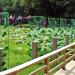 Nami Island Glass Sequoia First Kiss Bridge