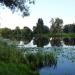 Ponds in the upper course of Murinsky stream