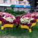 Flowerbed Butterfly in Zhytomyr city