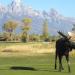 Jackson Hole Golf & Tennis Club