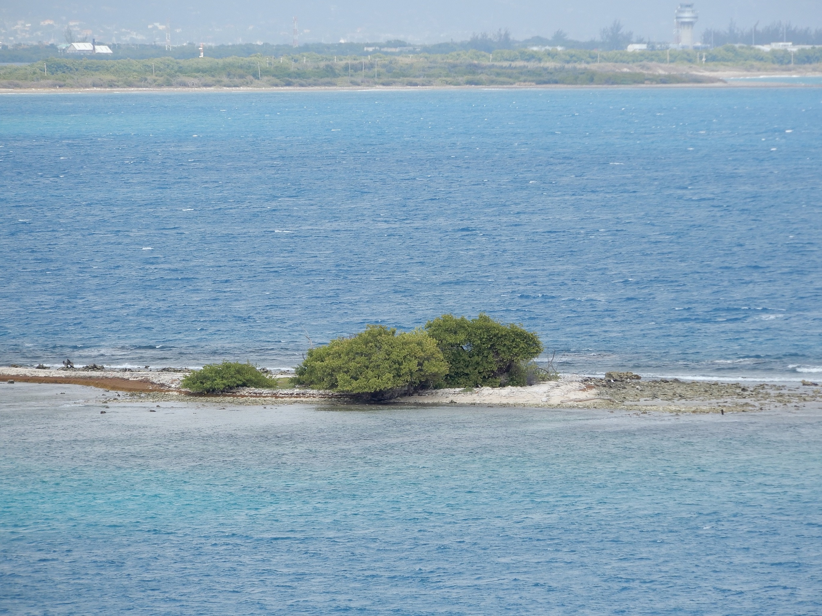 Gun Cay Island A Historical and Ecological Haven