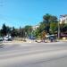 Декоративное металлическое дерево в городе Евпатория