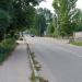 Растительность (ru) in Zhytomyr city