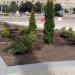 Flower garden in Zhytomyr city