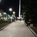Растительность (ru) in Zhytomyr city