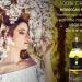 Best price Bulk Organic Argan oil