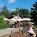 Grill Terrace (en) in Debrecen city